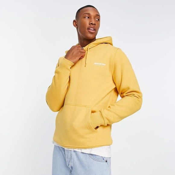 Dickies Men's Camden Box Graphic Hoodie Size Large - NEW WITH TAGS - Picture 11 of 13